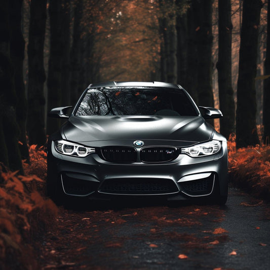 iDrive Hack - iDrive Hidden Menu in Your BMW: A Step-by-Step Guide - OEMNAVIGATIONS